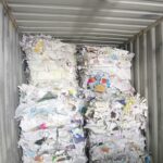 WhatsApp Image 2026-01-09 at 7.31.56 PM